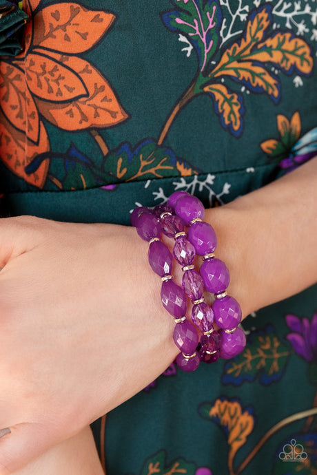 Paparazzi ~ High Tide Hammock ~ Purple Bracelet