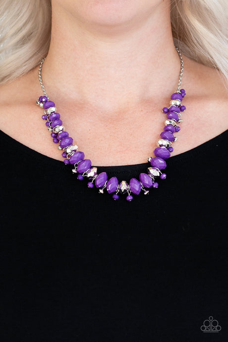 Paparazzi ~ BRAGs To Riches ~ Purple Necklace Set