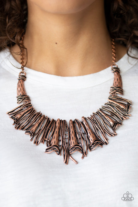 Paparazzi ~ In The MANE-stream ~ Copper Necklace Set