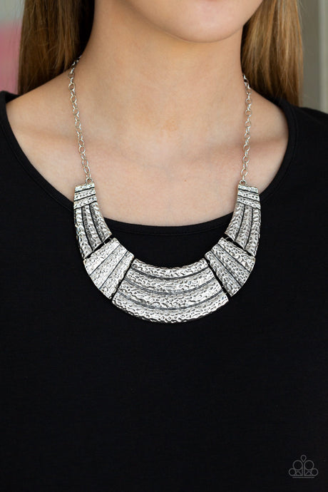 Paparazzi ~ Ready To Pounce ~ Silver Necklace Set