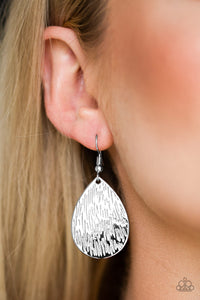 Paparazzi ~ Terra Incognita ~ Silver Earrings