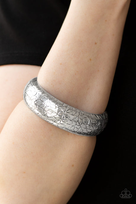 Paparazzi ~ Tread Lightly ~ Silver Bangle Bracelet