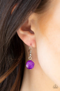 Paparazzi ~ Treasure Shore ~ Purple Necklace Set