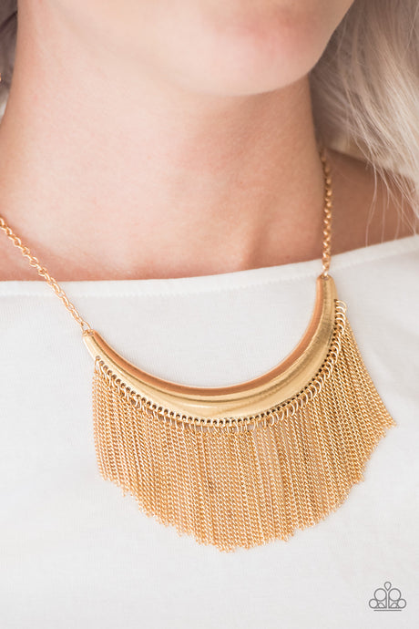 Paparazzi ~ Zoo Zone ~ Gold Necklace Set